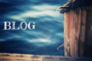 Blog 1